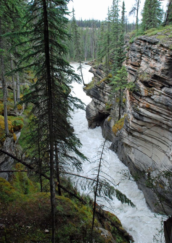 An image of Athabasca Falls in Jasper An image of Athabasca Falls in Jasper
