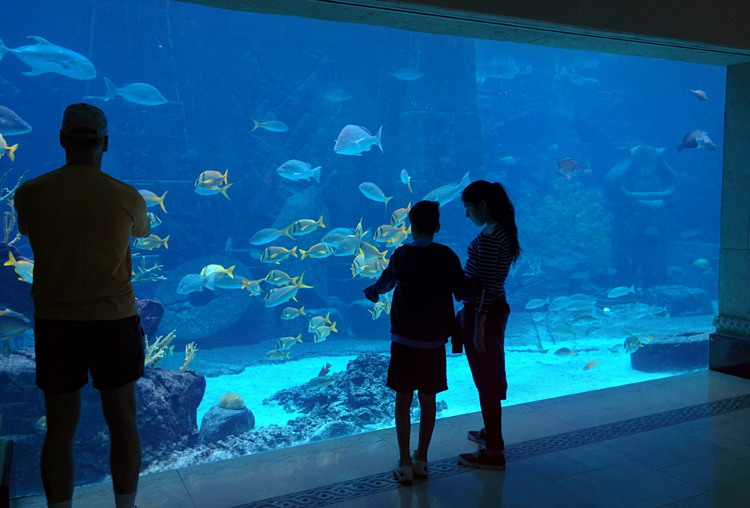 An image of the aquariums at the Atlantis Resort in Nassau, Bahamas