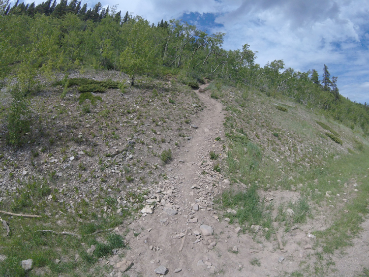 An image of the Prairie Mountain trail