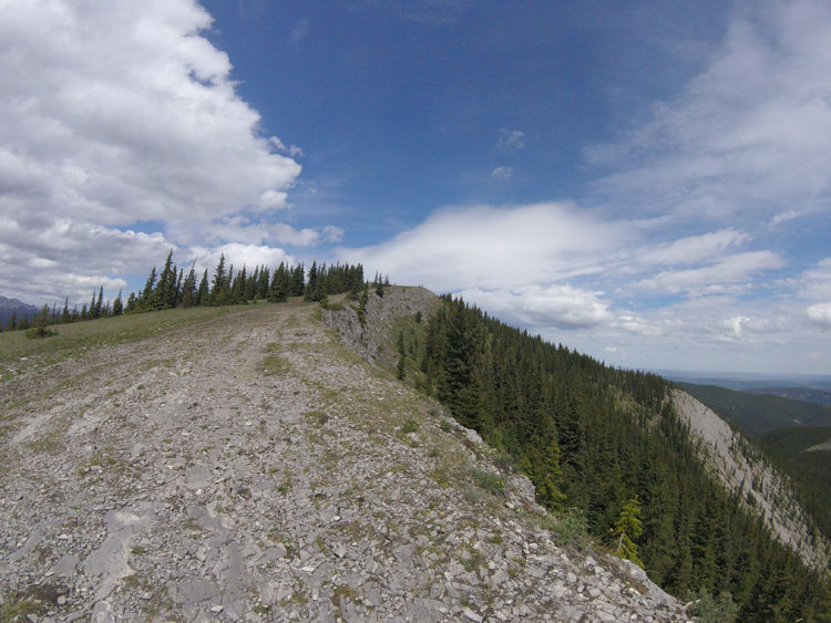 An image of the Prairie Mountain trail near the summit