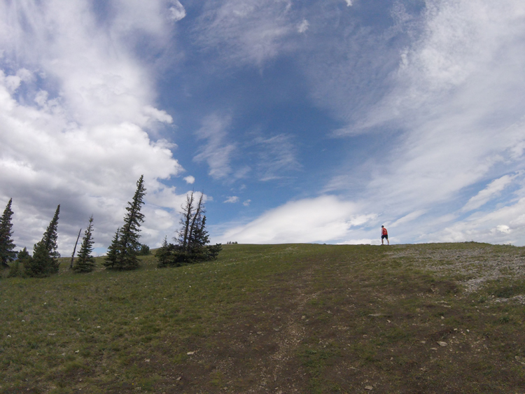 An image of the Prairie Mountain hiking trail in Kananaskis, Alberta