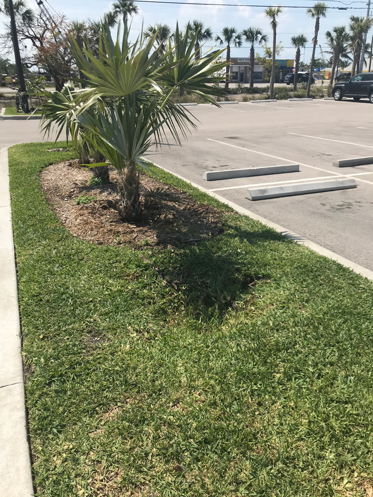 An image of a hole in front of tree on a meridian