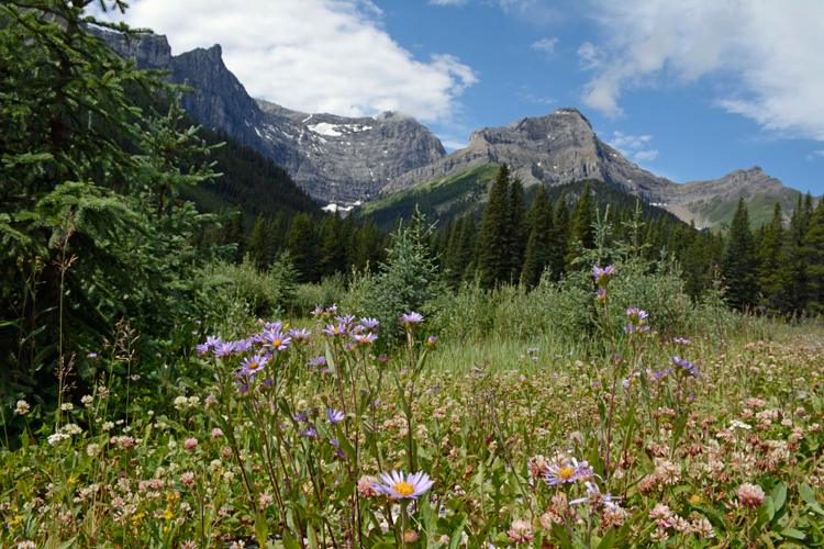 An image of the mountains in Peter Lougheed Provincial Park