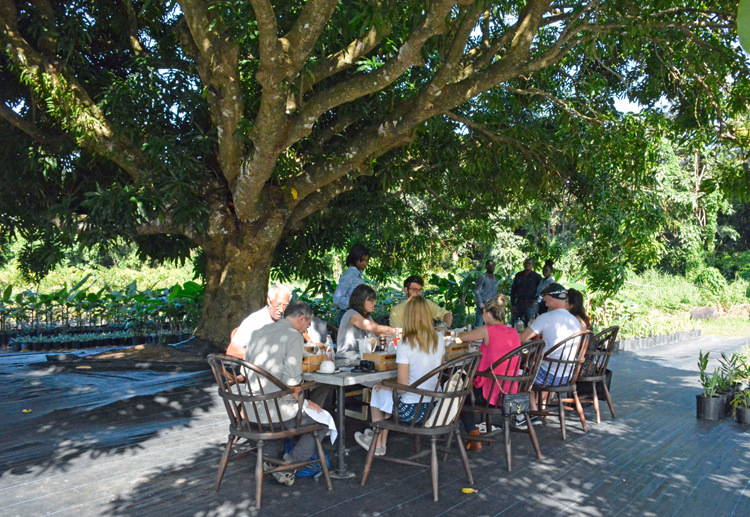 An image of table dining in the orchard at Belle Mont Farm