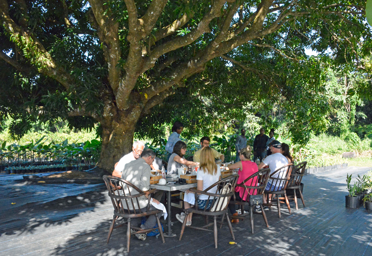 An image of table dining in the orchard at Belle Mont Farm An image of table dining in the orchard at Belle Mont Farm