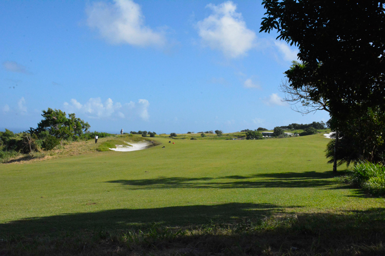 An image of Irie Fields edible golf course on St. Kitts