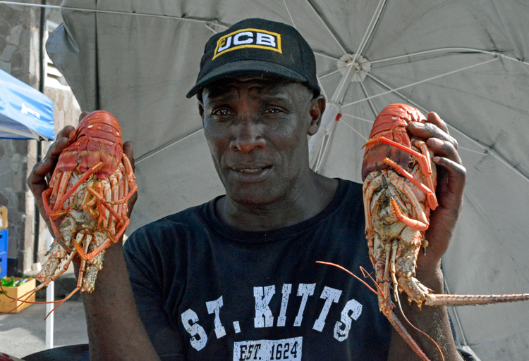 An image of a man holding two lobsters