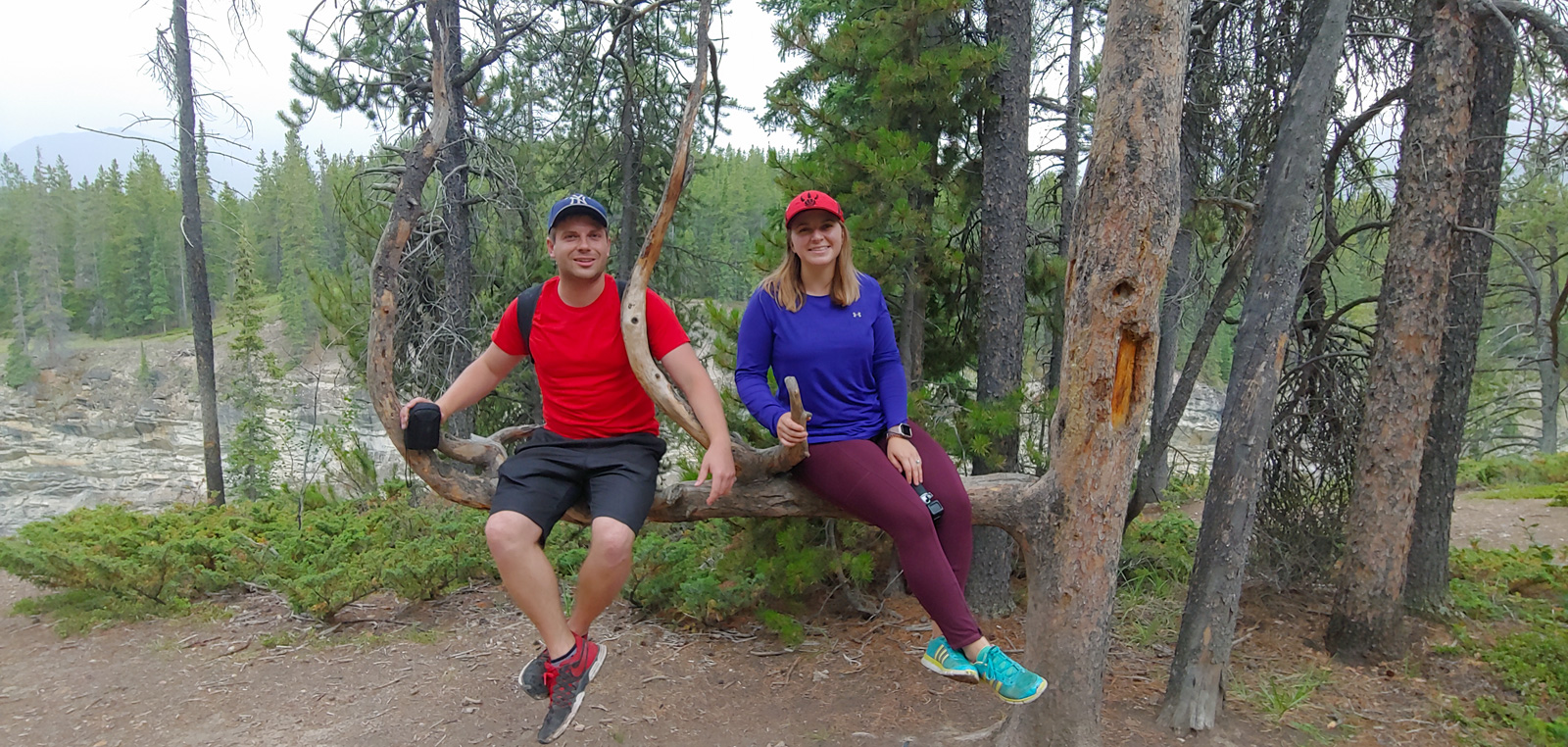 Image of Brady and Carleigh sitting in an interesting tree