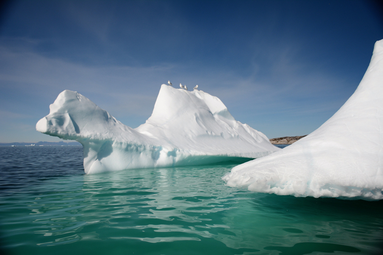 Image of an iceberg that looks like a camel - iceberg pareidolia test