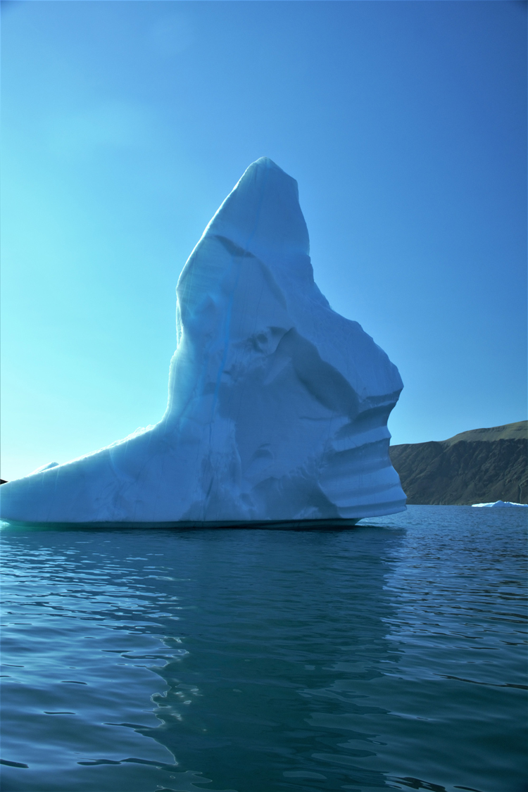 Image of an iceberg that looks like a face - iceberg pareidolia test