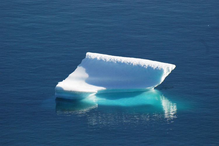 Image of an iceberg that looks like a grand piano - iceberg pareidolia test
