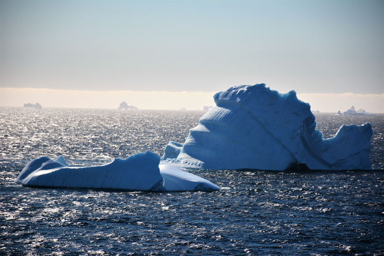 Image of an iceberg that looks like the Sidney Opera House - iceberg pareidolia test