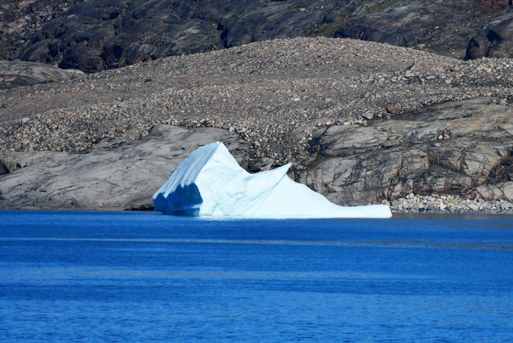 An image of an iceberg that looks like a woodpecker - iceberg pareidolia test