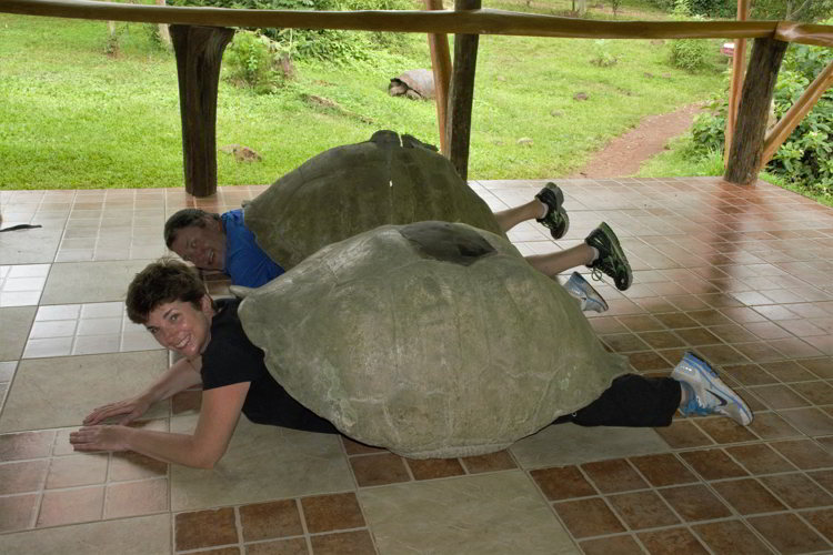 An image of two people inside giant tortoise shells in the Galapagos Islands