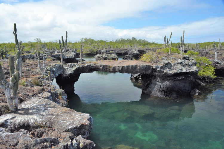 An image of Los Túneles near Isabella Island in the Galapagos Islands