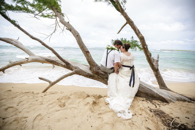 An image of a bride and groom sitting on a tree branch on the beach in Hawaii