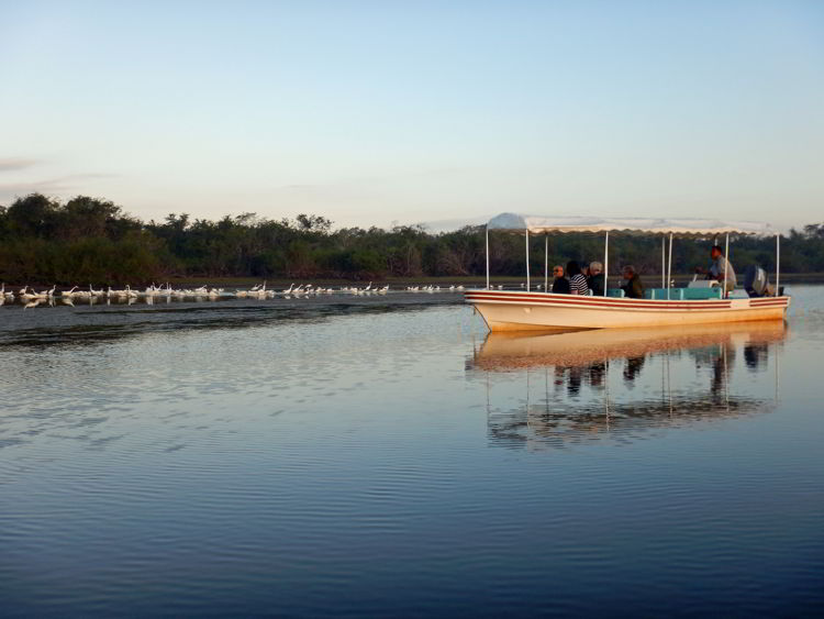 An image of a boat of a lagoon in the Coorked Tree Wildlife Sanctuary in Belize
