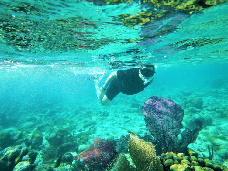 Image of a man snorkeling over coral formations in the South Water Caye Marine Reserve in Belize