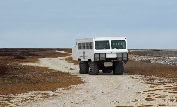 An image of a tundra buggy used for Churchill polar bear tours near Churchill, Manitoba