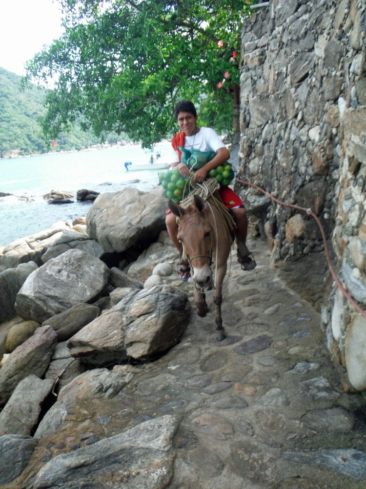 An image of a person bringing supplies to Casa Pericos on a burro. Photo by DEBBIE OLSEN
