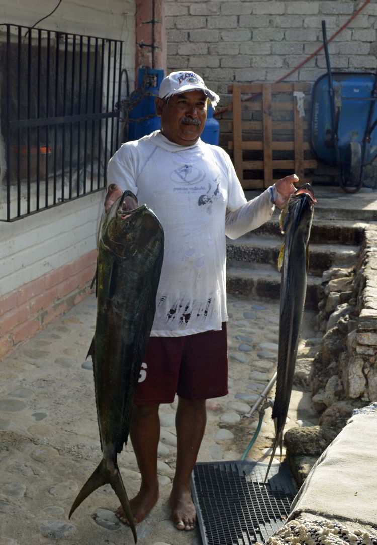 An image of a fisherman holding a freshly caught mahi mahi in Yelapa - Jalisco, Mexico - Yelapa Beach