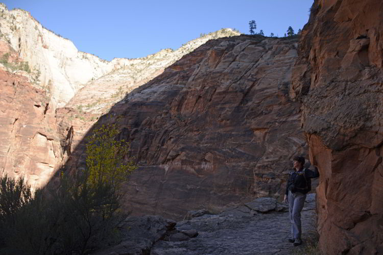 An image of the someone looking at the view on the Hidden Canyon Trail in Zion National Park in Utah - Best Zion National Park Hikes