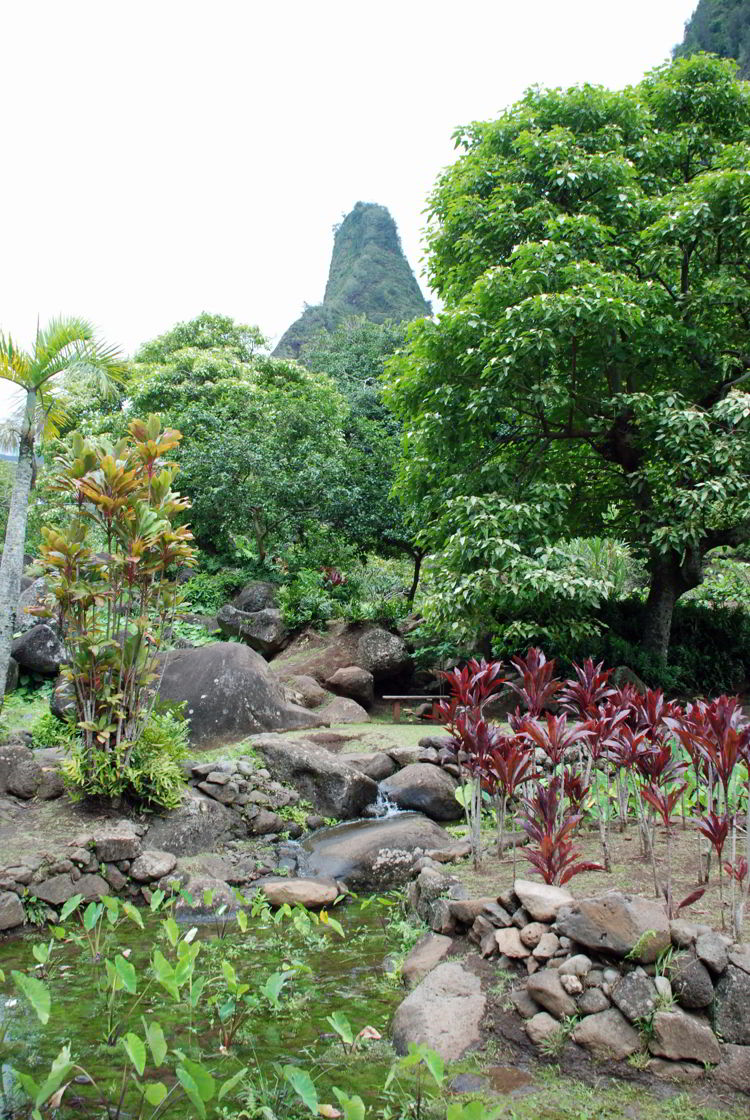 An image of ʻĪao ValleyState Park in Maui, Hawaii - Hiking Maui