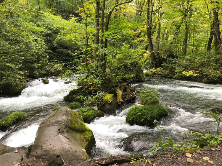 An image of Oirase Stream near Aomori, Japan - Lake Towada and Oirase Stream