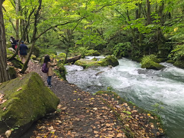 An image of Oirase Stream and the trail beside it near Aomori, Japan - Lake Towada and Oirase Gorge