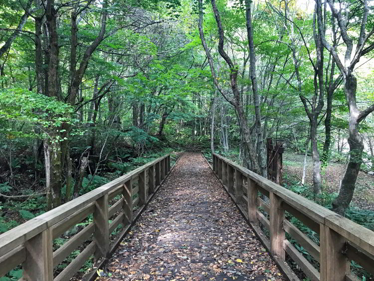 An image of the trail in Oirase Gorge near Aomori, Japan - Lake Towada and Oirase Gorge 