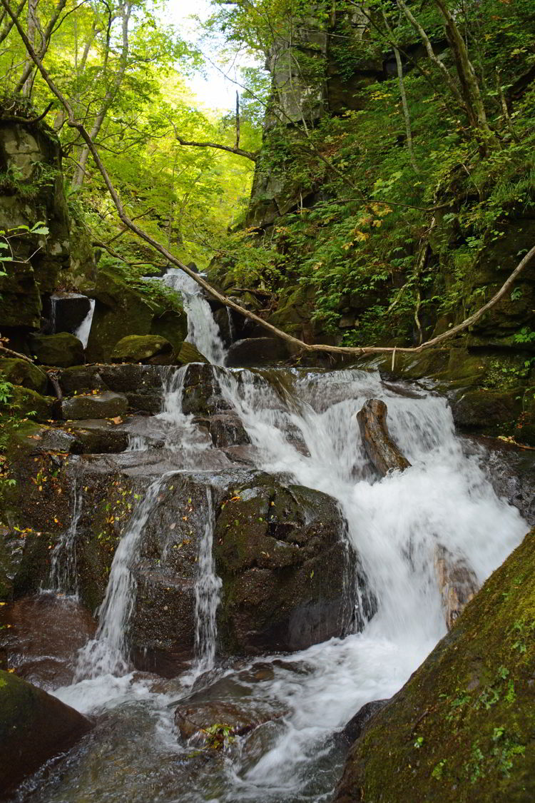 An image of a waterfall in Oirase Gorge near Aomori, Japan - Lake Towada and Oirase Gorge