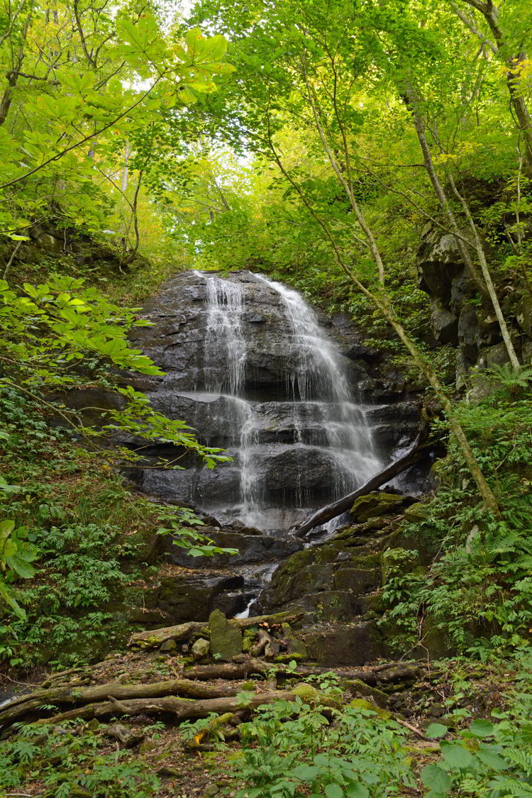 An image of Kudan no Taki Waterfall in Oirase Gorge near Aomori, Japan - Lake Towada and Oirase Gorge