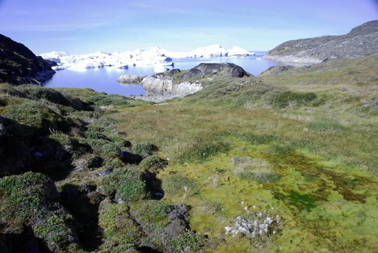 An image of the Ilulissat Icefjord in Ilullissat Greenland