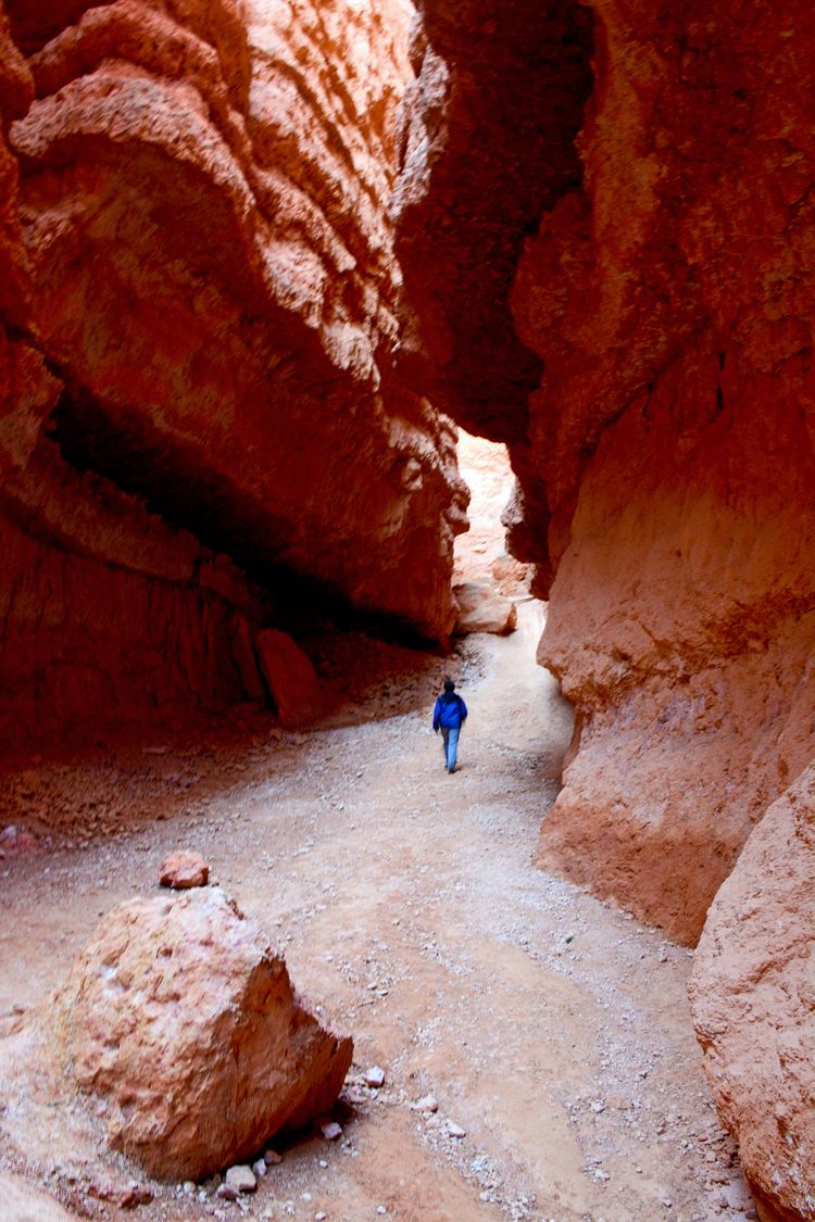 An image of a person walking on the canyon floor in Bryce Canyon National Park in Utah - best hikes in Bryce Canyon
