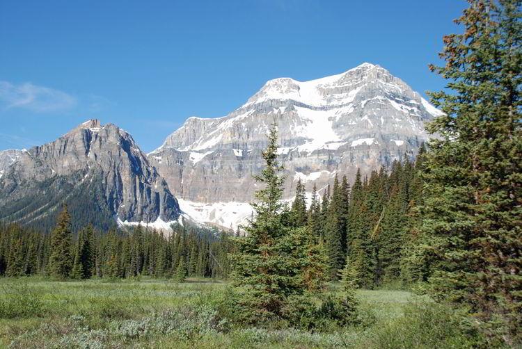An image of a meadow and Mount Ball near Shadow Lake Lodge in Banff National Park