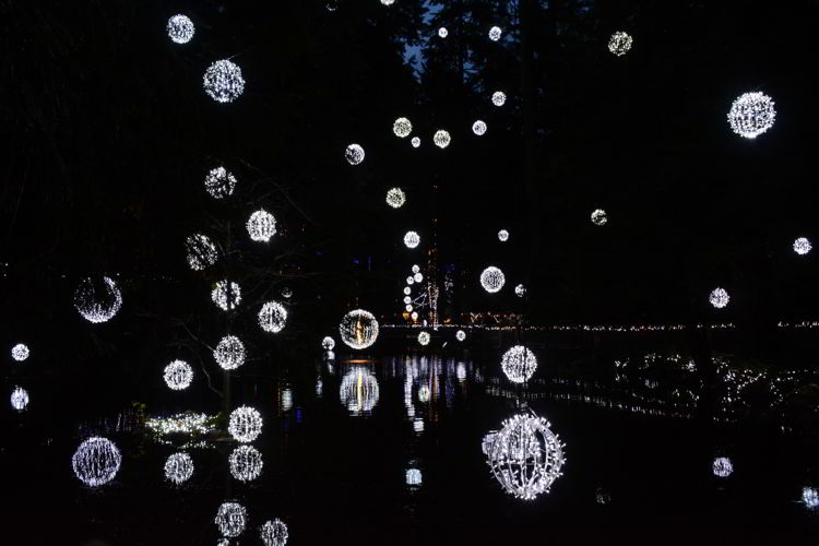 An image of white lights hanging over a lake and reflecting in the water below - Vancouver Christmas Lights