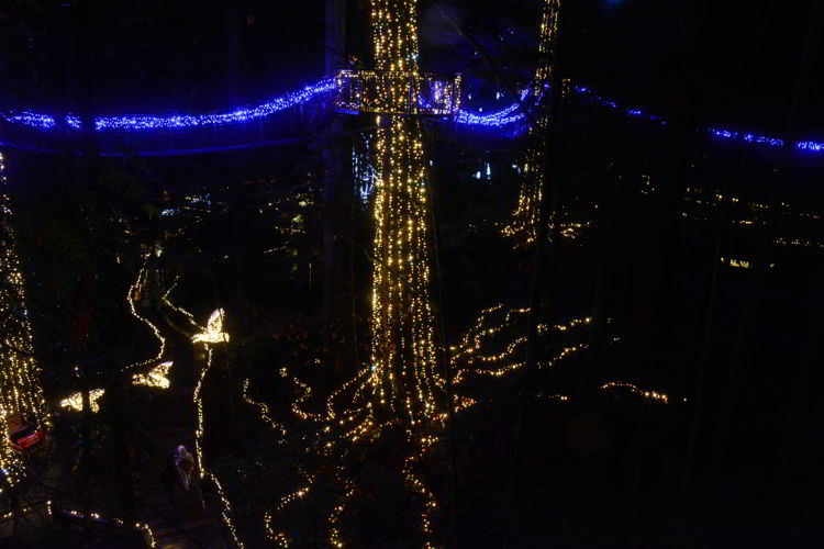 An image of the lighted canopy walk at Capilano Suspension Bridge Park in Vancouver, BC Canada - Vancouver Christmas Lights
