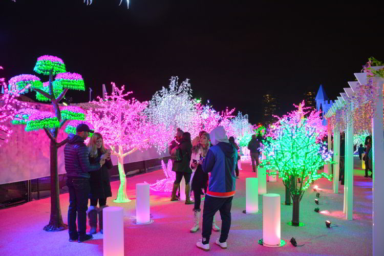 An image of the colorful lighted forest at the Aurora Winter Festival in Vancouver, BC Canada. Vancouver Christmas Lights