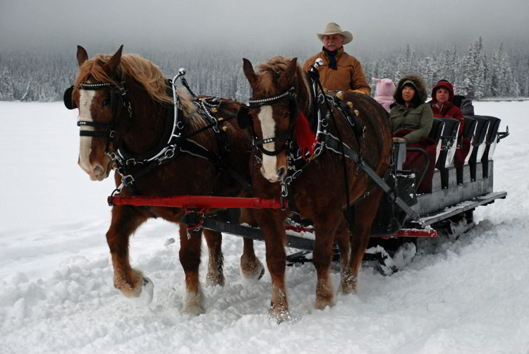 An image of two horses pulling a sleigh at Pyramid Lake in Jasper National Park in Alberta, Canada - Winter in Jasper - Stunning Photos 