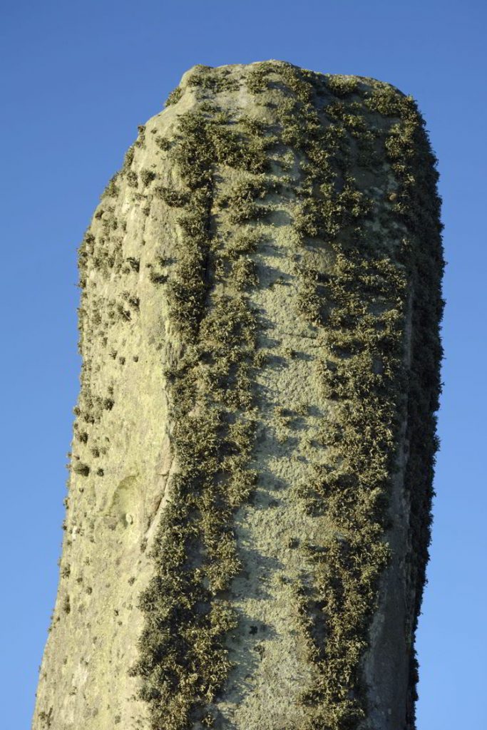 An image of lichen on the stones at the Stonhenge site near Salisbury, UK - Stonehenge inner circle tours