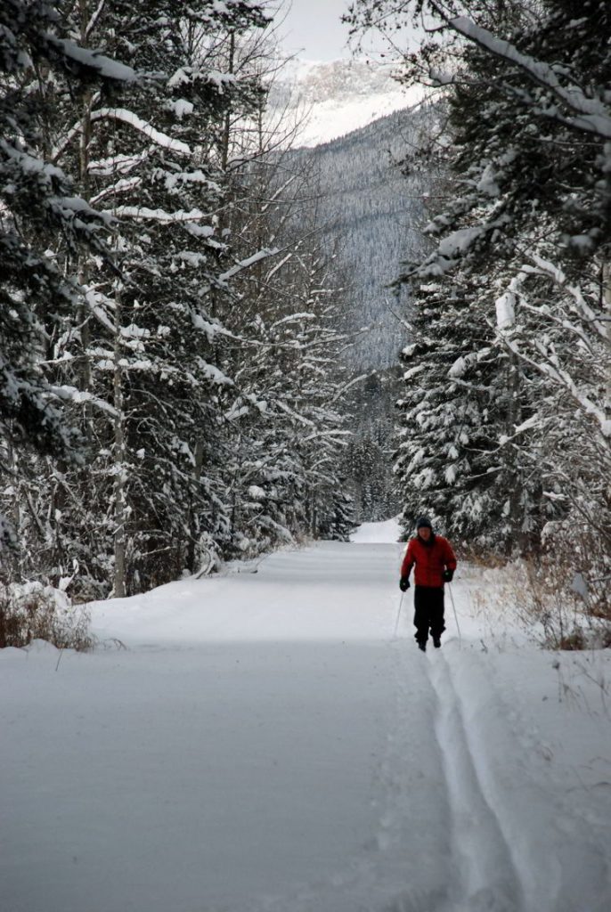 An image of a cross-country skier in Jasper National Park in Alberta, Canada - Jasper in Winter - 12 Stunning Photographs