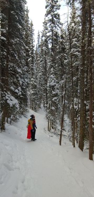 An image of a man looking up at snow covered trees on the ink pots hike in Banff National Park, Alberta - Johnston Canyon Winter Hike and ink pots hike