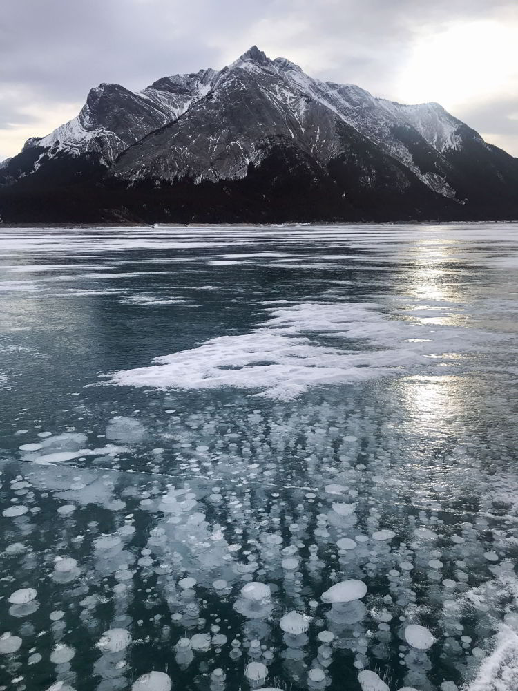 An image of the ice bubbles and mountains at Abraham Lake, Alberta