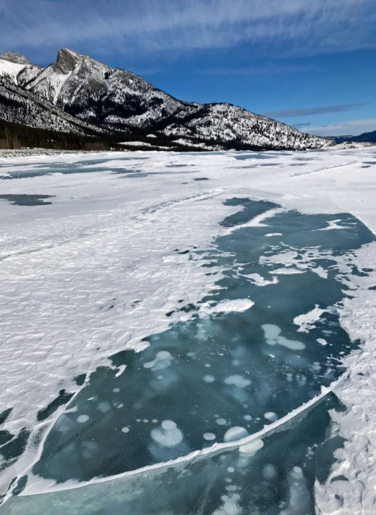 An image of the ice bubbles at Abraham Lake after a fresh snow. Abraham Lake, Alberta