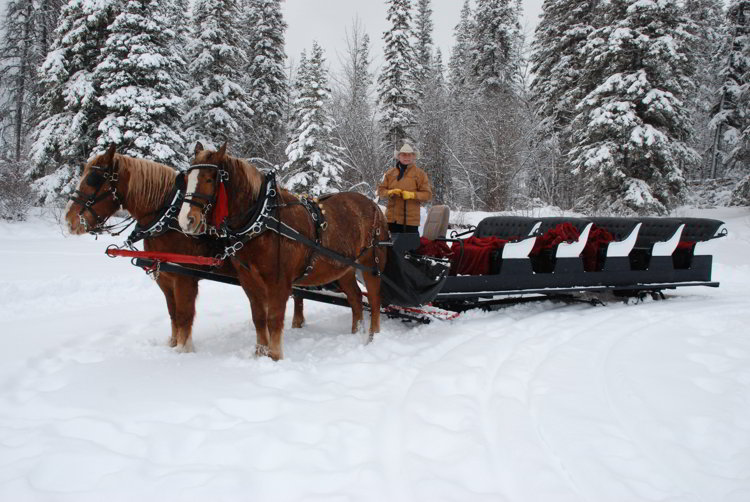 Image of a man driving a team of horses pulling a sleigh at Pyramid Lake in Jasper National Park - Avoid the Winter Blues