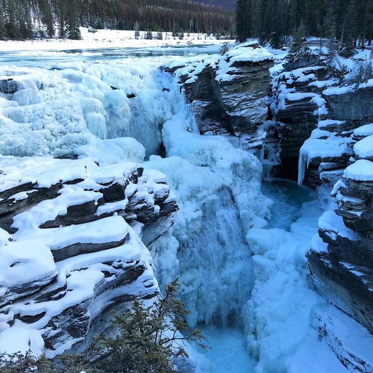 An image of the Athabasca Falls in Jasper National Park in Alberta, Canada - Alberta hikes help you beat the winter blues