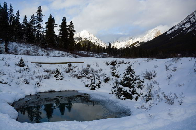 An image of the ink pots in winter in Banff National Park, Alberta - Johnston Canyon Winter Hike and ink pots hike
