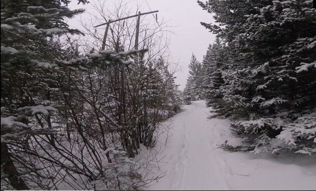 An image of the early part of the trail on the Grotto Canyon hike near Canmore, Alberta