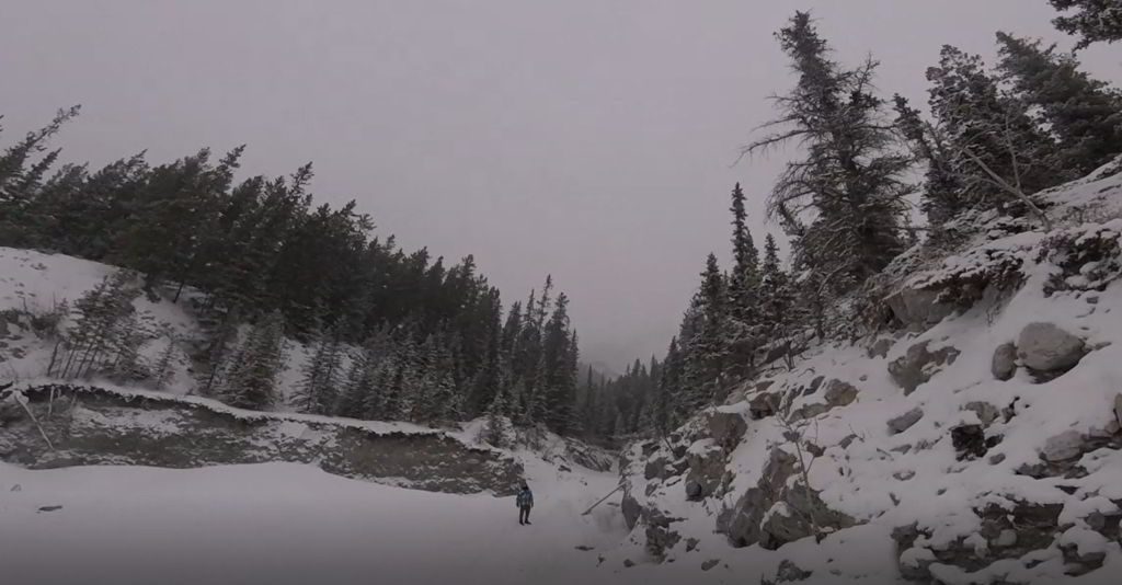 An image of the view along the creek of the Grotto Canyon hike near Canmore, Alberta 