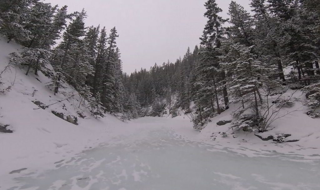 An image of the view along the creek of the Grotto Canyon hike near Canmore, Alberta 